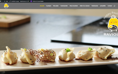 Lancement de notre site